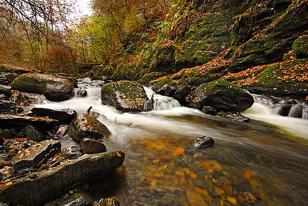 Birks of Aberfeldy